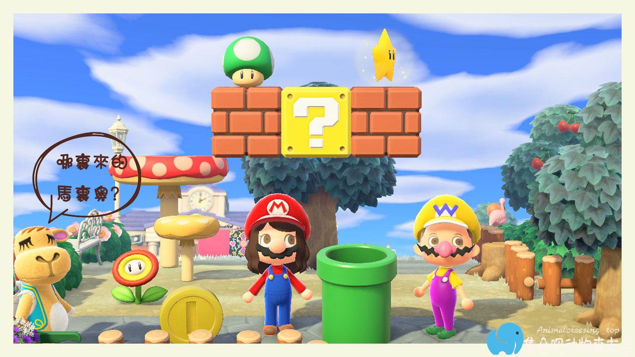动森日记，马里奥兄弟畅游蘑菇王国！（马里奥全套家具展示）