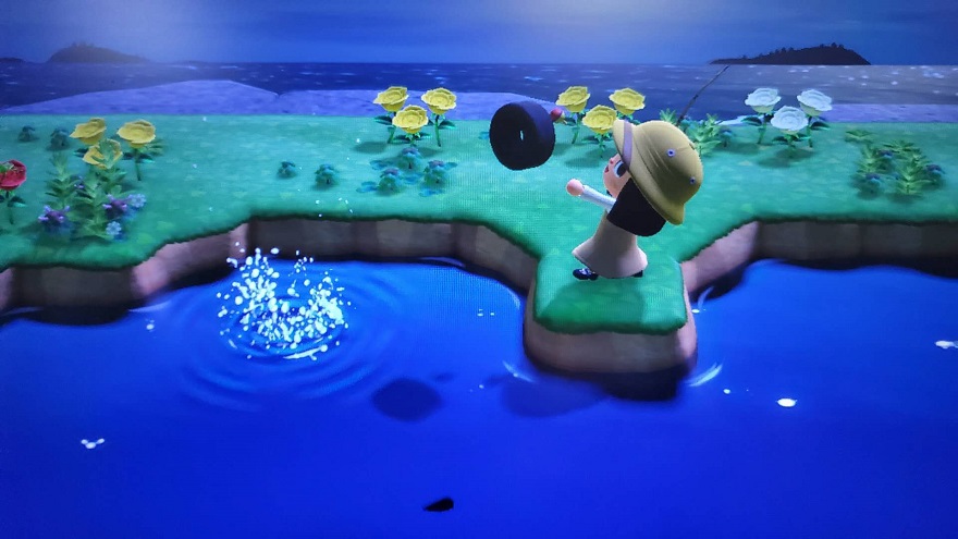 动物森友会最治愈你的瞬间是什么？第一次去到特殊岛屿吗？