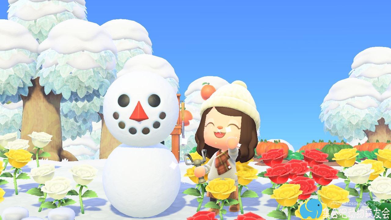 动森叫你上岛堆雪人啦！（附堆出完美雪人/雪哥哥攻略）